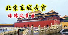大鸡巴疯狂操逼视频中国北京-东城古宫旅游风景区